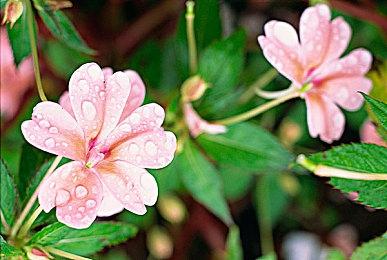 沙特阿拉伯政府投资380亿美元 打造游戏产业中心